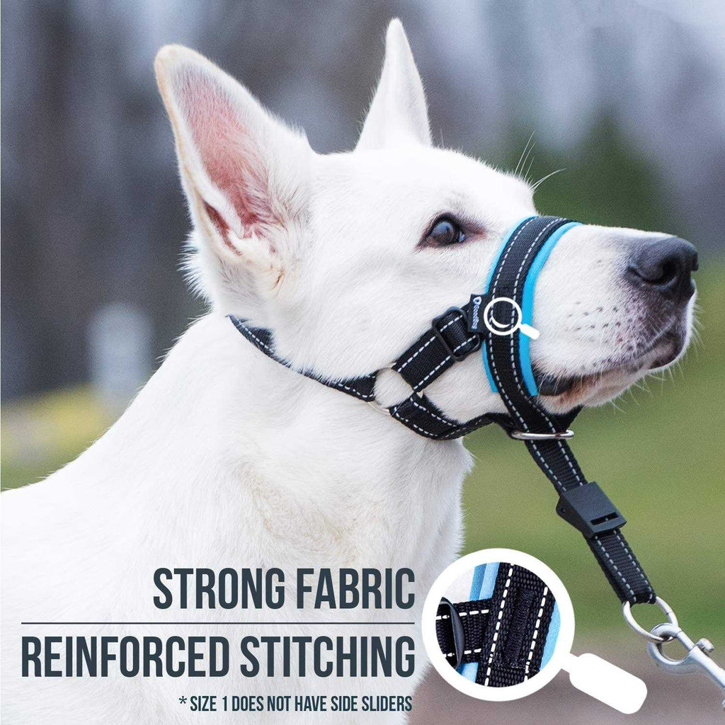 Dog Head Halter with Safety Strap R9854
