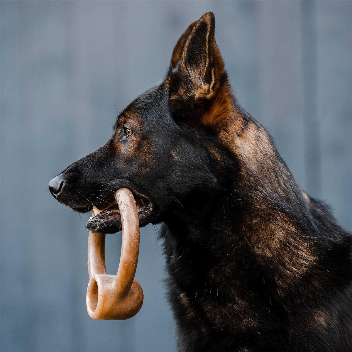 Durable Chew Toy for Aggressive Chewers Q87064