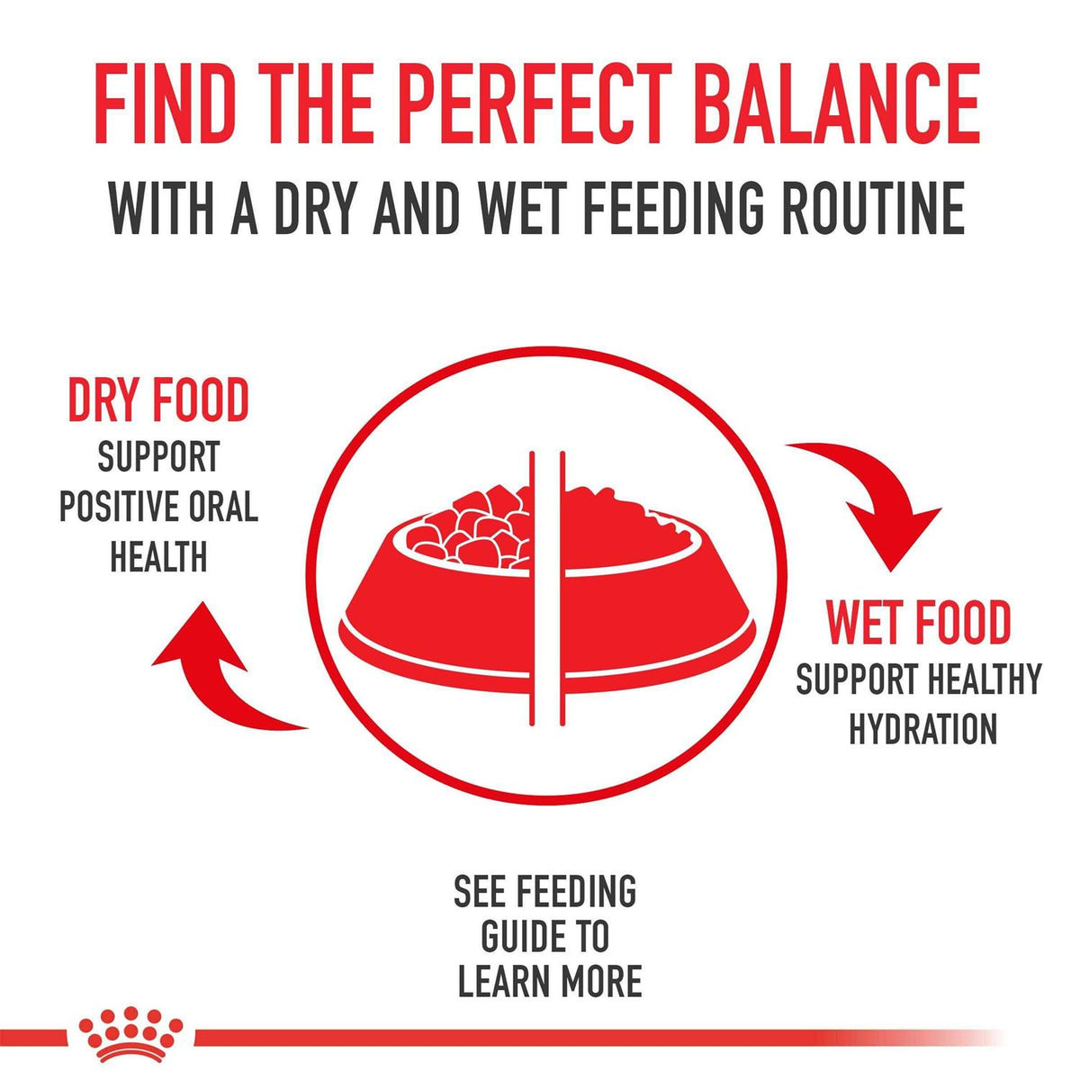 Small Weight Care Dry Dog Food S176779