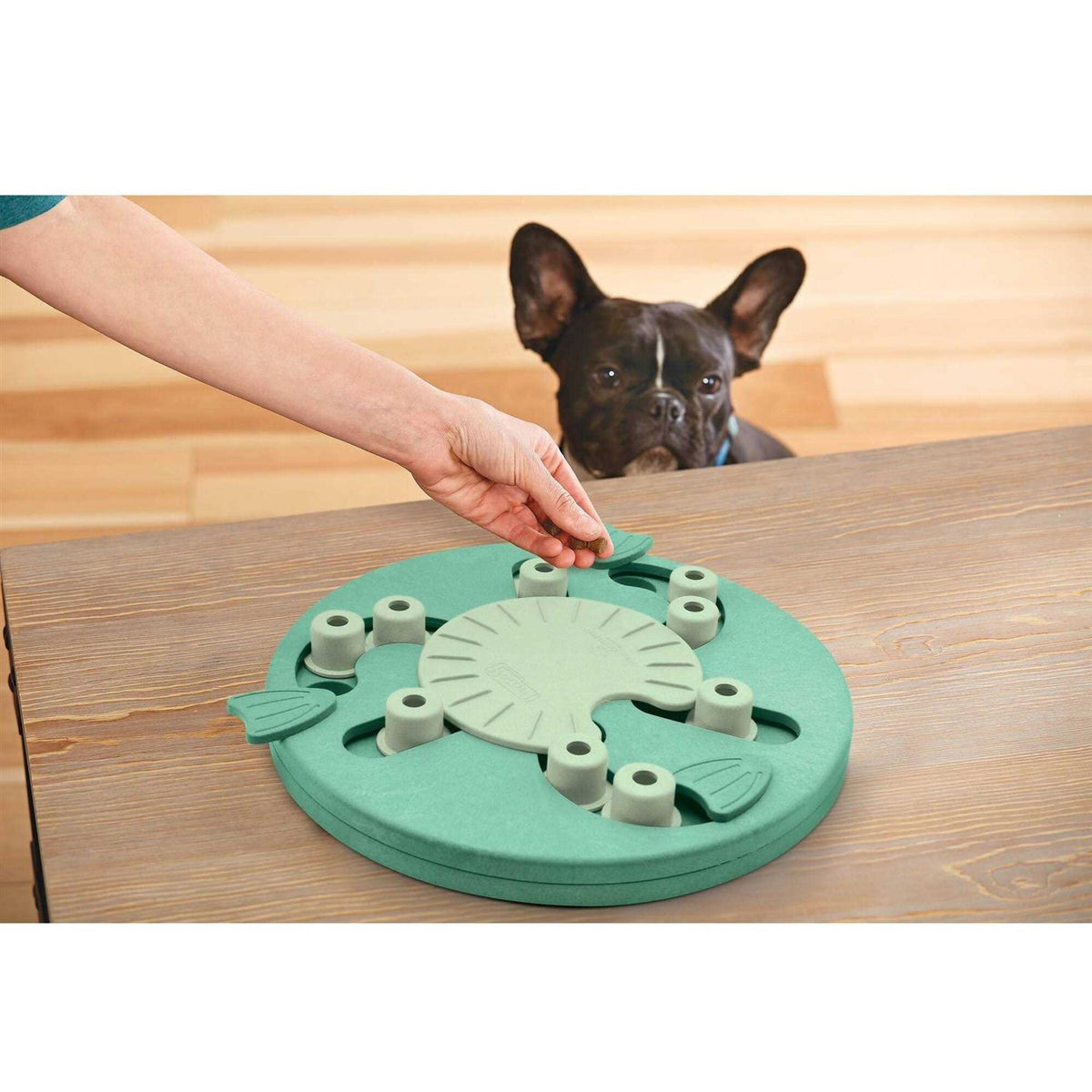 Interactive Puzzle Dog Toy W110