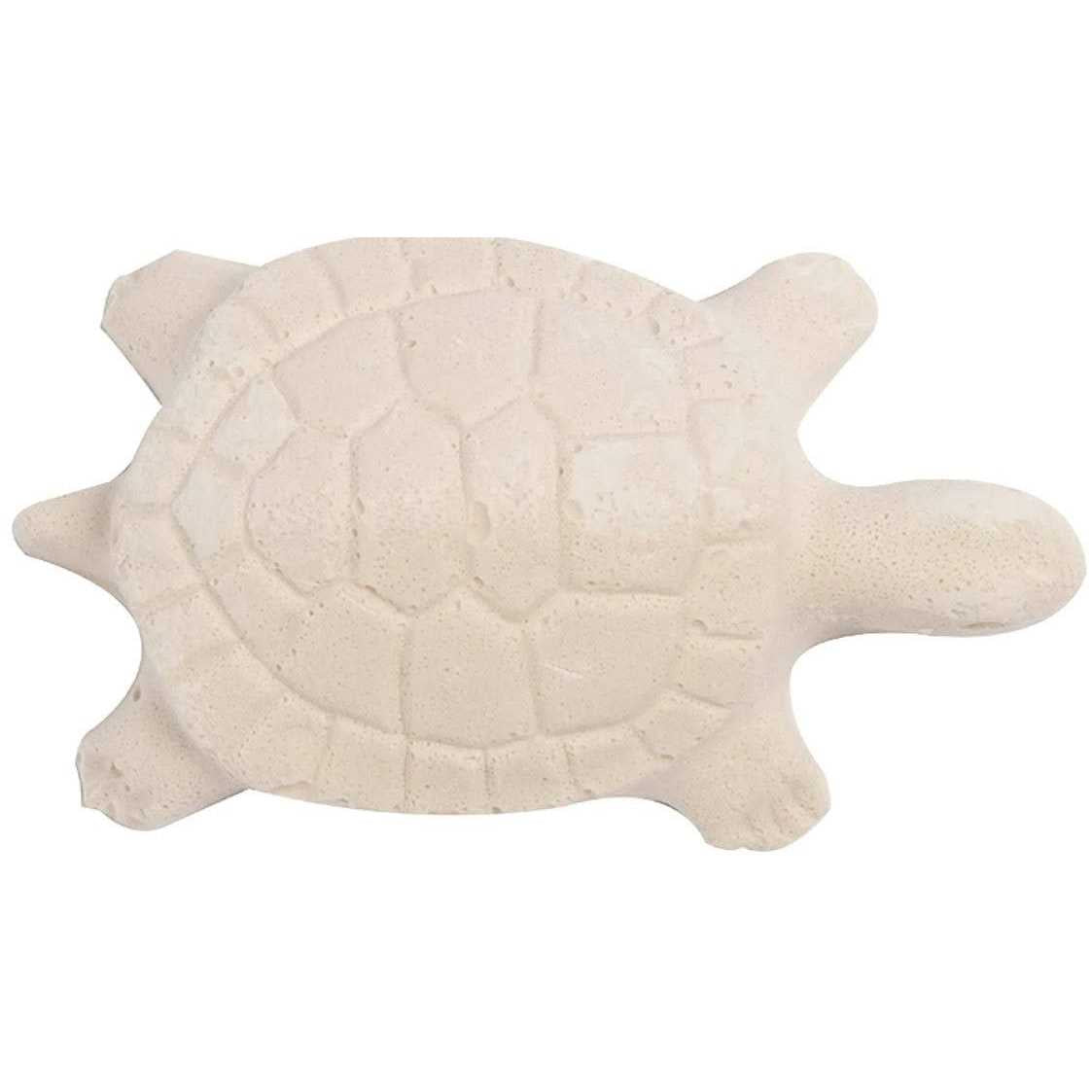 Turtle Health Conditioner Q199111
